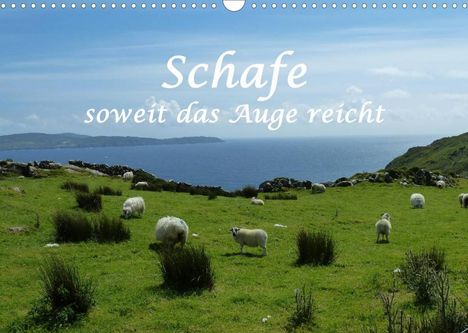 Stefanie Und Philipp Kellmann: Und Philipp Kellmann, S: Schafe - soweit das Auge reicht (Wa, Kalender