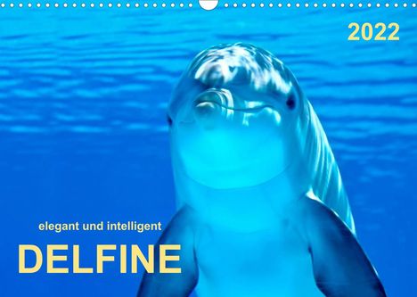 Peter Roder: Roder, P: Delfine - elegant und intelligent (Wandkalender 20, Kalender