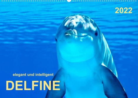Peter Roder: Roder, P: Delfine - elegant und intelligent (Wandkalender 20, Kalender
