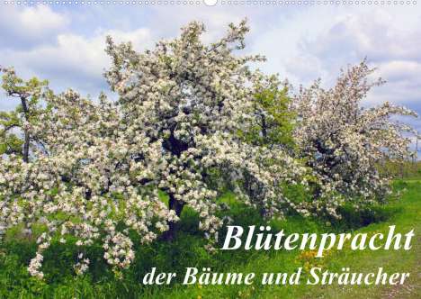 Lothar Reupert: Reupert, L: Blütezeit der Bäume und Sträucher (Wandkalender, Kalender