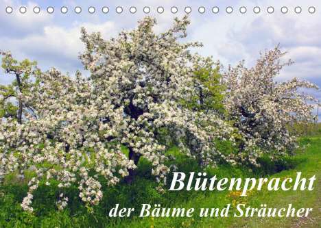 Lothar Reupert: Reupert, L: Blütezeit der Bäume und Sträucher (Tischkalender, Kalender