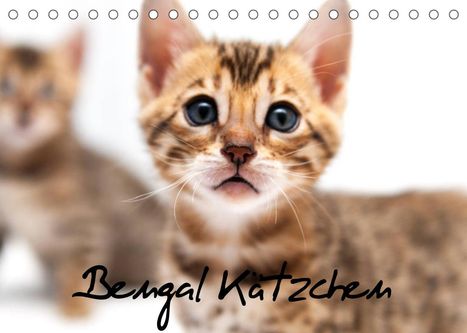 Sylke Enderlein - Bethari Bengals: Enderlein - Bethari Bengals, S: Bengal Kätzchen (Tischkalend, Kalender