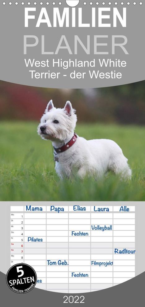 Barbara Mielewczyk: Mielewczyk, B: West Highland White Terrier - Selbstbewustes, Kalender