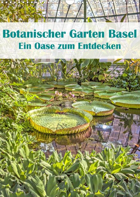 Liselotte Brunner-Klaus: Brunner-Klaus, L: Botanischer Garten Basel - Eine Oase zum E, Kalender