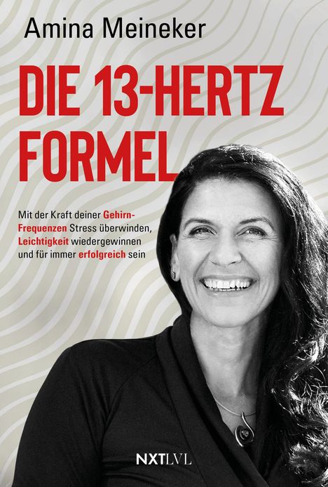 Amina Meineker: Die 13 Hertz Formel, Buch