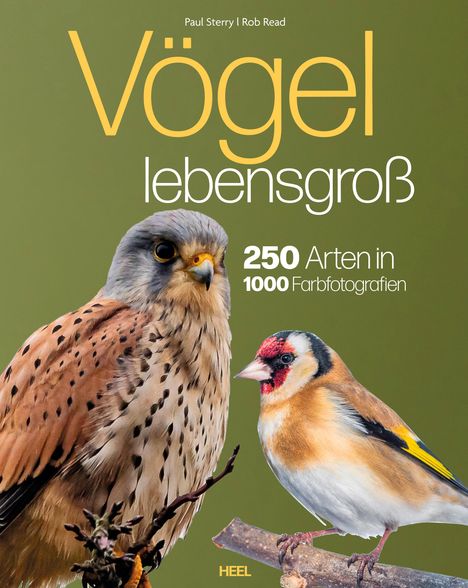 Paul Sterry: Vögel lebensgroß, Buch