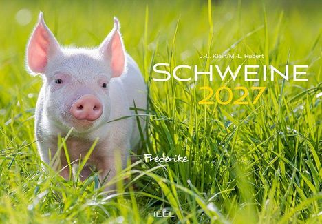 „Schweine 2027“ in großen Buchstaben. Ein kleines Schwein steht im grünen Gras unter klarem Himmel.