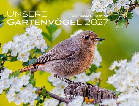 "Unsere Gartenvögel 2027", ein Vogel auf einem Ast umgeben von weißen Blüten.