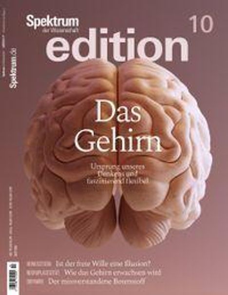 "Das Gehirn" steht im Zentrum über einem Gehirnmodell. Im Hintergrund sind dezente, sanfte Farben.