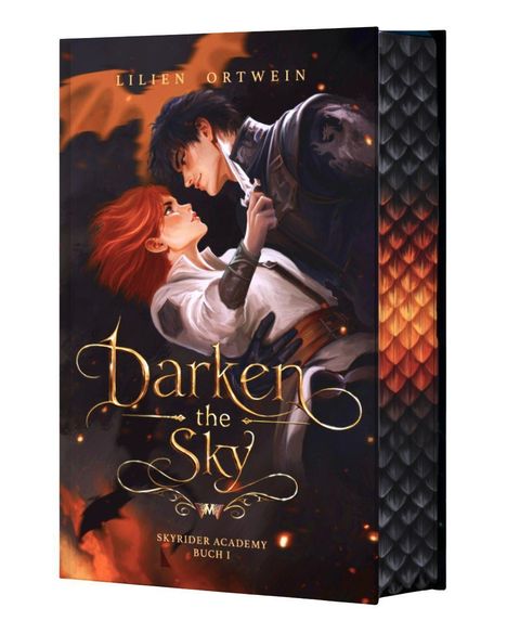 Text: „Darken the Sky“, „Lilien Ortwein“, „Skyrider Academy Buch I“. Zwei Personen in dramatischer Pose, feuriger Hintergrund.