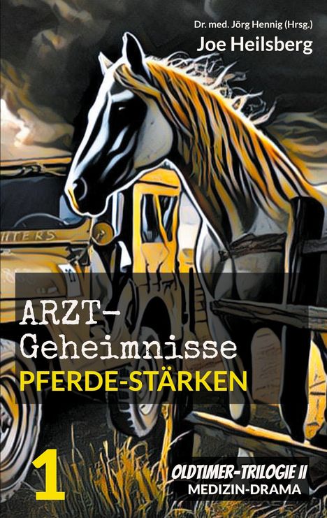 Joe Heilsberg: Arztgeheimnisse (Oldtimer-Trilogie II), Buch