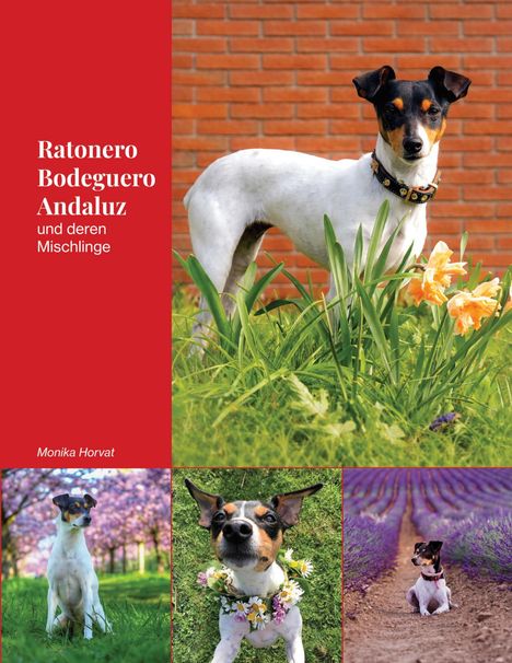 "Ratonero Bodeguero Andaluz und deren Mischlinge" von Monika Horvat. Drei Fotos von Hunden, u.a. in Blumenfeldern.