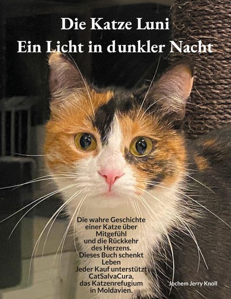 "Die Katze Luni: Ein Licht in dunkler Nacht." Ein Porträt einer dreifarbigen Katze mit großen Augen daneben.