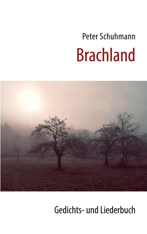 Peter Schuhmann: Brachland, Buch