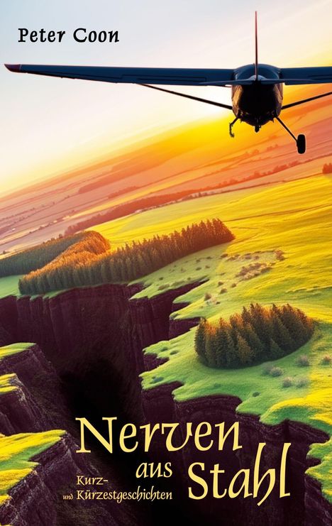 "Nerven aus Stahl" von Peter Coon. Eine Landschaft bei Sonnenuntergang mit gelbem Feld, Bäumen und fliegendem Flugzeug.