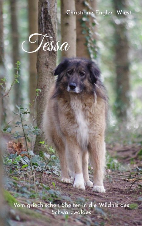 Christiane Engler- Wiest: Tessa, Buch