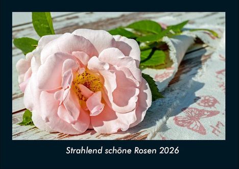 Tobias Becker: Strahlend schöne Rosen 2026 Fotokalender DIN A4, Kalender