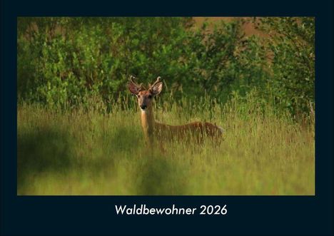 Tobias Becker: Waldbewohner 2026 Fotokalender DIN A4, Kalender