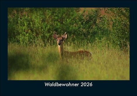 Tobias Becker: Waldbewohner 2026 Fotokalender DIN A5, Kalender