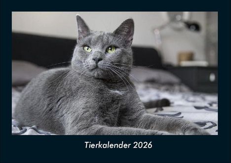 Tobias Becker: Tierkalender 2026 Fotokalender DIN A4, Kalender