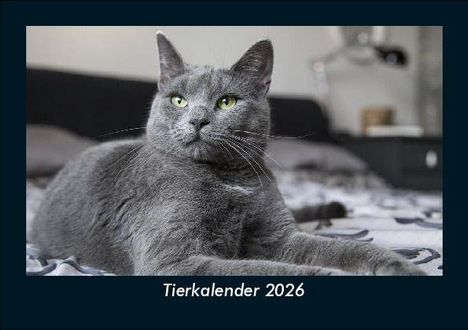 Tobias Becker: Tierkalender 2026 Fotokalender DIN A5, Kalender