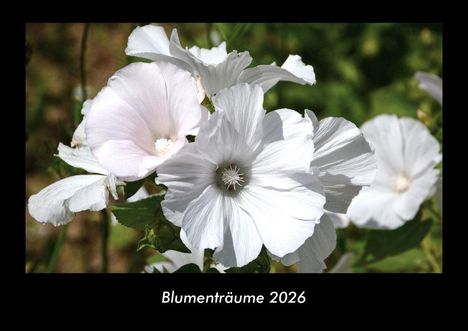 Tobias Becker: Blumenträume 2026 Fotokalender DIN A3, Kalender