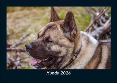 Tobias Becker: Hunde 2026 Fotokalender DIN A5, Kalender