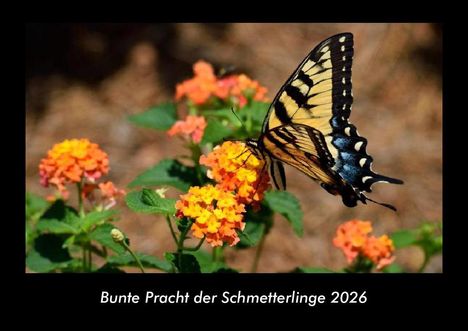Tobias Becker: Bunte Pracht der Schmetterlinge 2026 Fotokalender DIN A3, Kalender