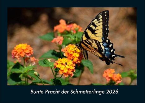 Tobias Becker: Bunte Pracht der Schmetterlinge 2026 Fotokalender DIN A4, Kalender