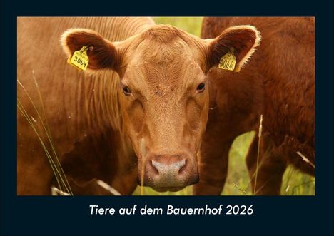 Tobias Becker: Tiere auf dem Bauernhof 2026 Fotokalender DIN A4, Kalender