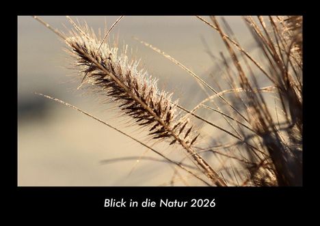 Tobias Becker: Blick in die Natur 2026 Fotokalender DIN A3, Kalender
