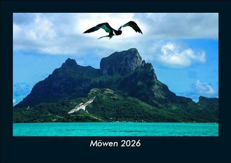 Tobias Becker: Möwen 2026 Fotokalender DIN A5, Kalender