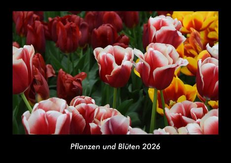 Tobias Becker: Pflanzen und Blüten 2026 Fotokalender DIN A3, Kalender