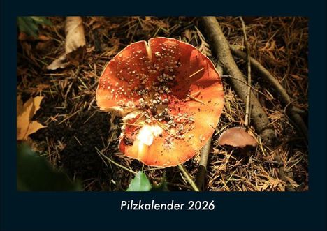 Tobias Becker: Pilzkalender 2026 Fotokalender DIN A4, Kalender