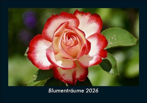 Tobias Becker: Blumenträume 2026 Fotokalender DIN A5, Kalender