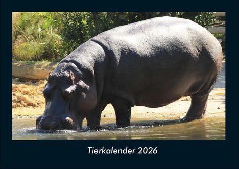 Tobias Becker: Tierkalender 2026 Fotokalender DIN A4, Kalender