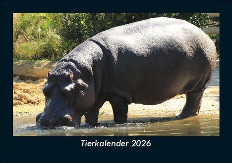 Tobias Becker: Tierkalender 2026 Fotokalender DIN A5, Kalender