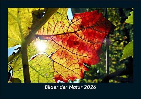 Tobias Becker: Bilder der Natur 2026 Fotokalender DIN A5, Kalender
