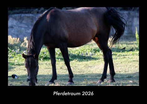 Tobias Becker: Pferdetraum 2026 Fotokalender DIN A3, Kalender