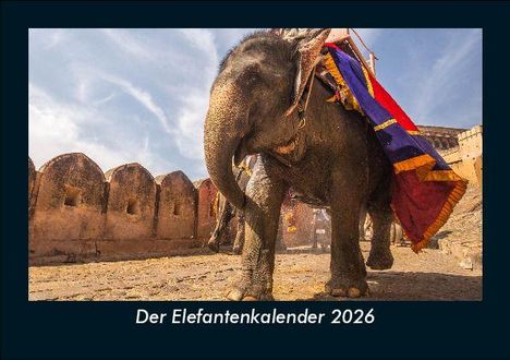Tobias Becker: Der Elefantenkalender 2026 Fotokalender DIN A5, Kalender