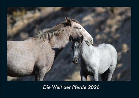 Tobias Becker: Die Welt der Pferde 2026 Fotokalender DIN A4, Kalender