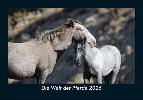 Tobias Becker: Die Welt der Pferde 2026 Fotokalender DIN A5, Kalender