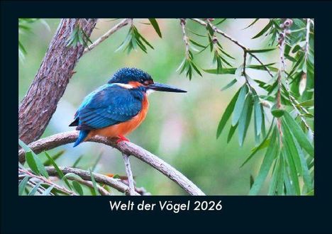 Tobias Becker: Welt der Vögel 2026 Fotokalender DIN A5, Kalender