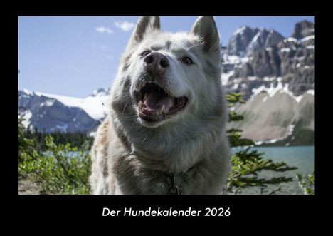 Tobias Becker: Der Hundekalender 2026 Fotokalender DIN A3, Kalender