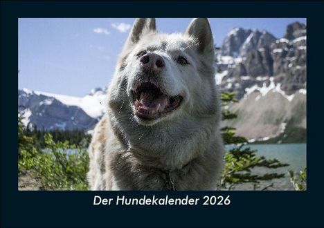 Tobias Becker: Der Hundekalender 2026 Fotokalender DIN A5, Kalender