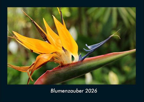 Tobias Becker: Blumenzauber 2026 Fotokalender DIN A4, Kalender