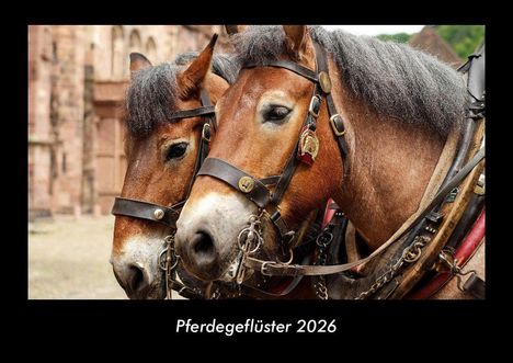 Tobias Becker: Pferdegeflüster 2026 Fotokalender DIN A3, Kalender