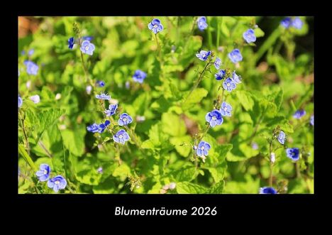 Tobias Becker: Blumenträume 2026 Fotokalender DIN A3, Kalender