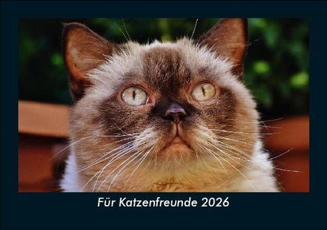 Tobias Becker: Für Katzenfreunde 2026 Fotokalender DIN A5, Kalender