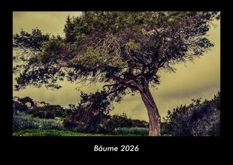 Tobias Becker: Bäume 2026 Fotokalender DIN A3, Kalender